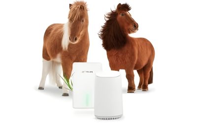 TELUS Internet: Fast, Secure, and Built for Modern Life